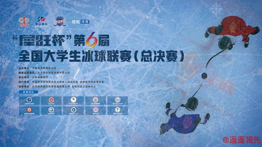 第6届全国大学生冰球联赛总决赛收官