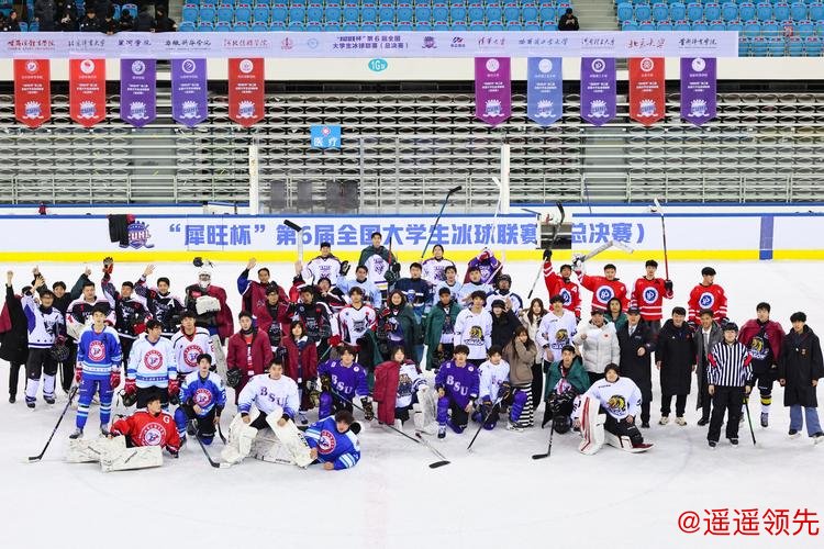 第6届全国大学生冰球联赛总决赛收官