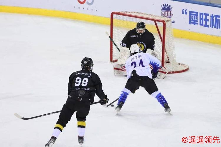 第6届全国大学生冰球联赛总决赛收官